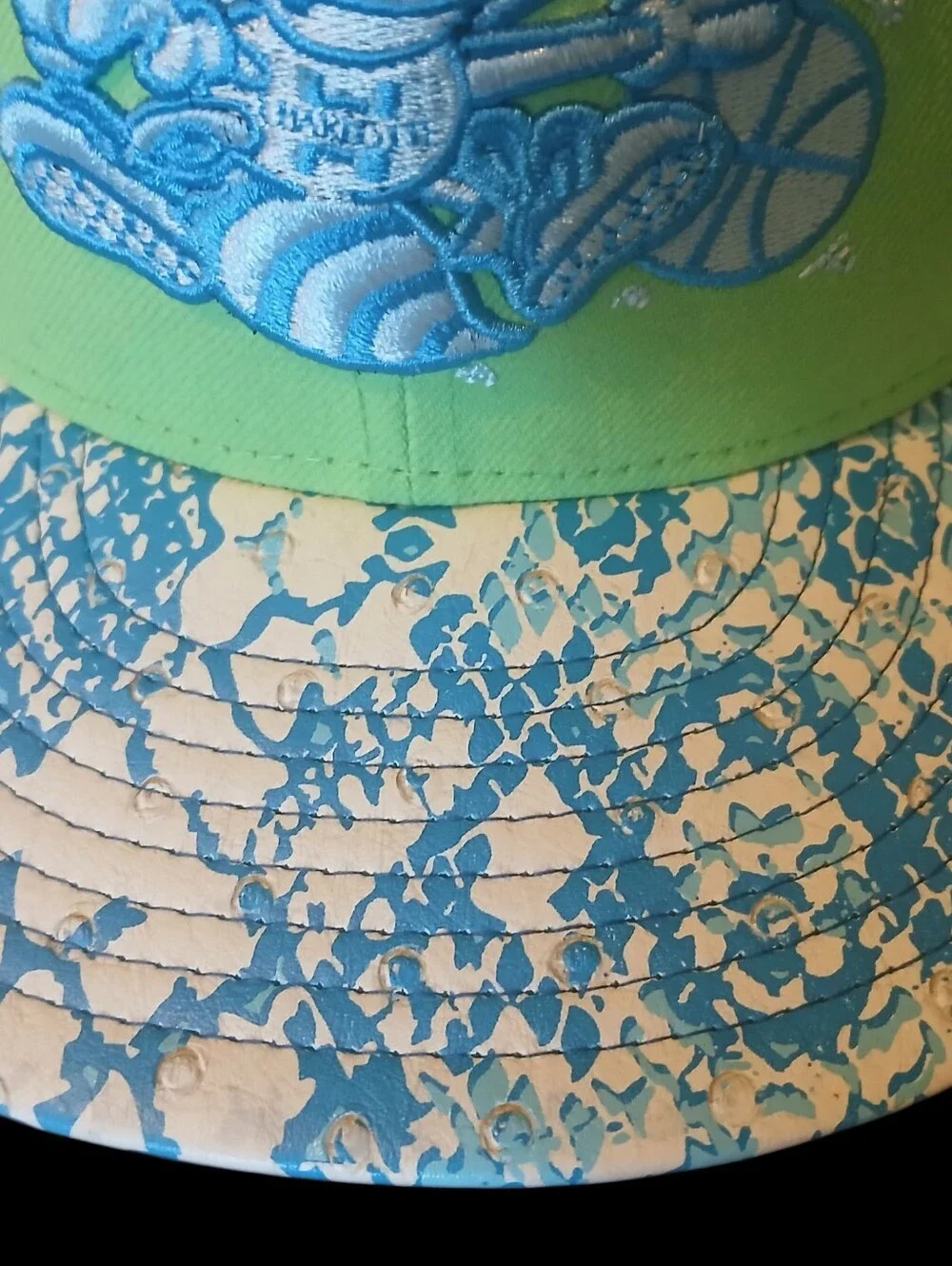 New Era charlotte hornets